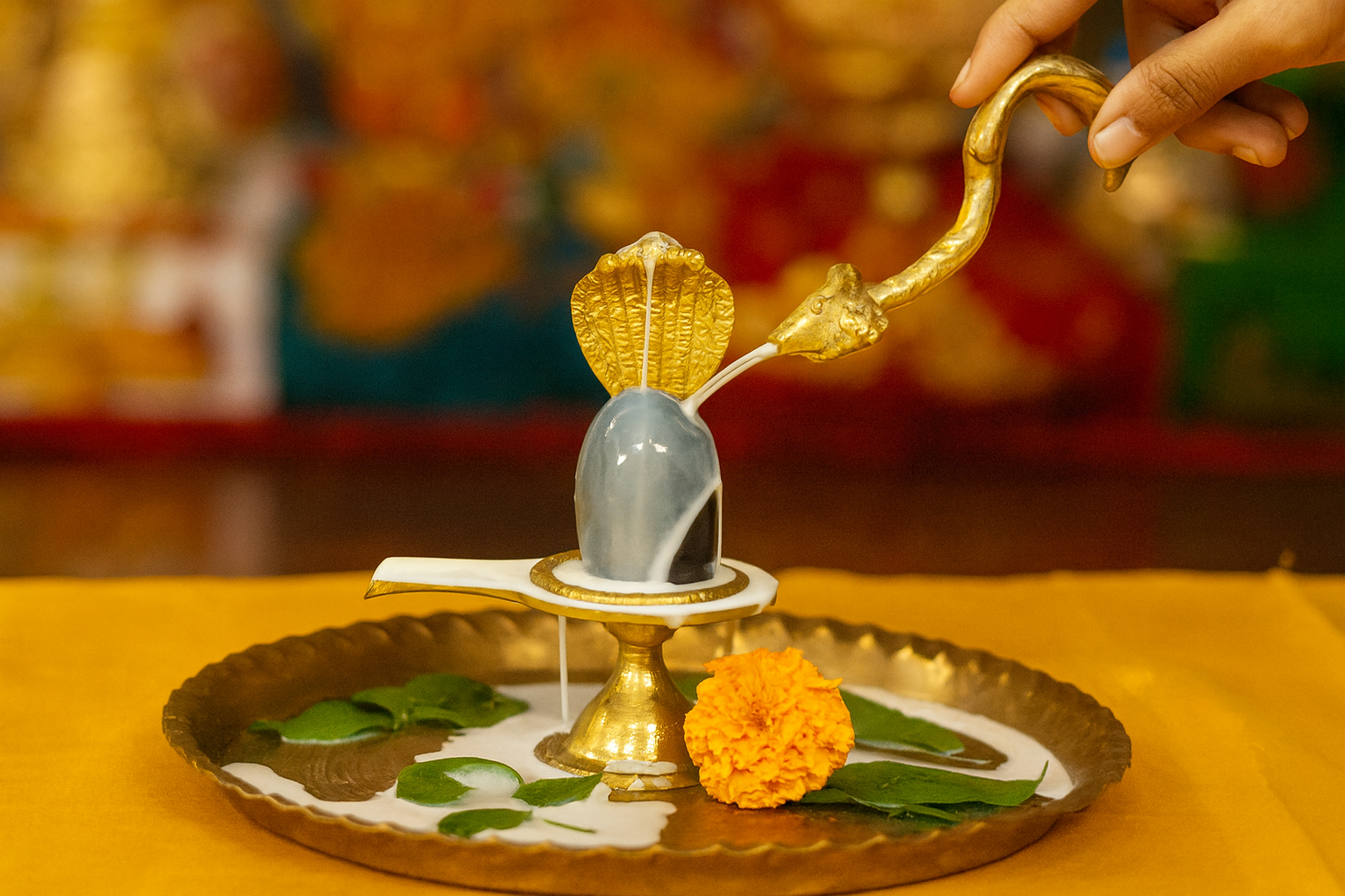 Rudraabhishek Puja